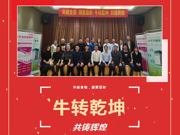 突破業(yè)績、凝聚嘉彰、牛轉(zhuǎn)乾坤、共鑄輝煌